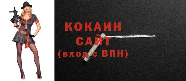 mix Бородино