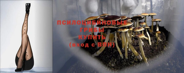 дмт Сафоново