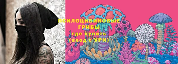 ПСИЛОЦИБИНОВЫЕ ГРИБЫ Бронницы